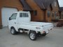 Suzuki Carry Truck 660 TC (1992 - 1999 ..)