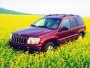 Beijing BJ 2021 M6 Cherokee SY 2.4 MT (1999 . -   )