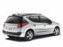 Peugeot 207 SW 1.4 (2008 . -   )