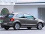 Volkswagen Polo 3-Door 1.6 TDI (2009 . -   )
