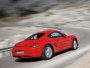 Porsche Cayman  R MT (2009 . -   )