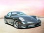 Panoz Esperante  4.6 i V8 32V (2000 - 2009 ..)