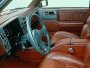 Oldsmobile Bravada  4.3 V6 (1990 - 1995 ..)