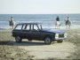 Peugeot 304 Break 1.5 D (1971 - 1979 ..)