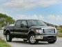 Ford F  5.4 (2008 . -   )