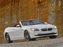 BMW 6-Reihe (F06) (F12) (F13)  F13 650i (2011 . -   )