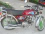  ������ ����� ALFA ZS50F    