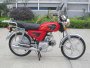  ������ ����� Hors Alpha 2010 �.�.    