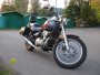  Kawasaki Vulcan 500 LTD    