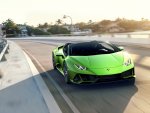       Ferrari  Lamborghini