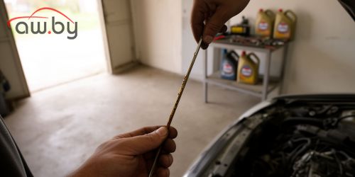 ��� ������� �������� ����� Mannol ��� ����������: ��������� ��������� � ����������� ��������